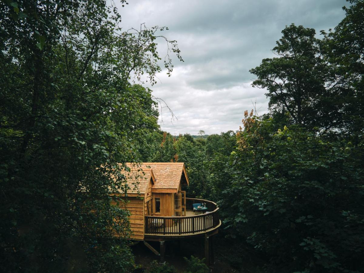 Wildhive Callow Hall Ashbourne  Bagian luar foto
