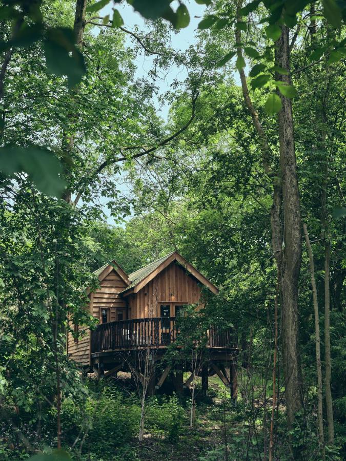 Wildhive Callow Hall Ashbourne  Bagian luar foto